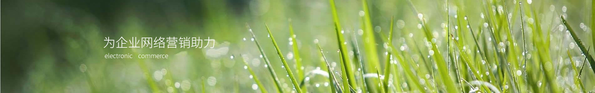 չ޹ɷݹ˾